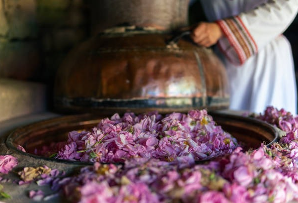 173179841_489874082198135_1062948569809062690_n