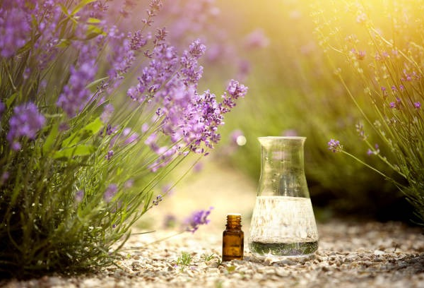 173549507_1320988001620219_3672919136584768199_n