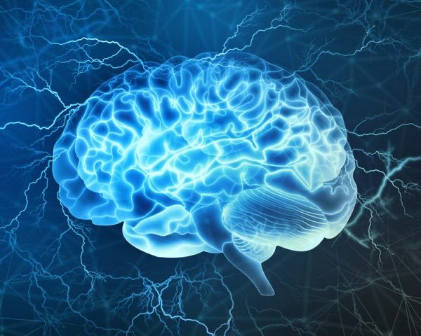 sistema-nervoso Seminário 1 — Introdução ao Sistema Nervoso (N2-M2)